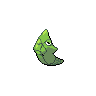 picture of metapod