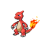 picture of charmeleon