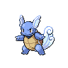 picture of wartortle